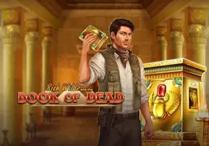 Book of Dead slot artwork -- official Play'n GO promotional image