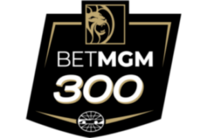 BetMGM Casino logo